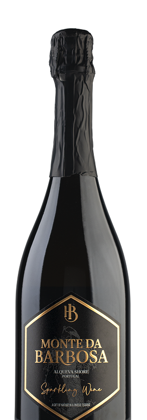 Vinho Espumante